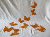 10 Schmetterlinge aus Sisal Nordrhein-Westfalen - Wassenberg Vorschau