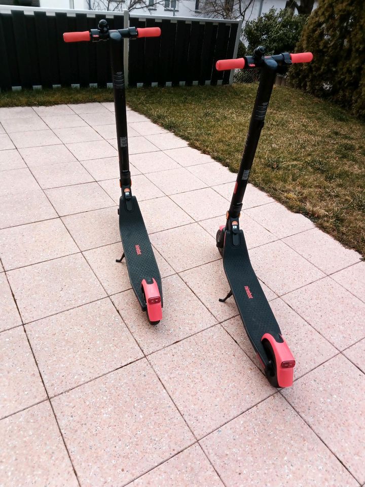 E-Scooter Segway-Ninebot in Ingersheim