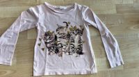 Langarmshirt Katzen H&M Gr 110 116 Niedersachsen - Salzgitter Vorschau