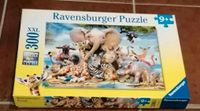 Puzzle für Kinder Nordrhein-Westfalen - Borken Vorschau