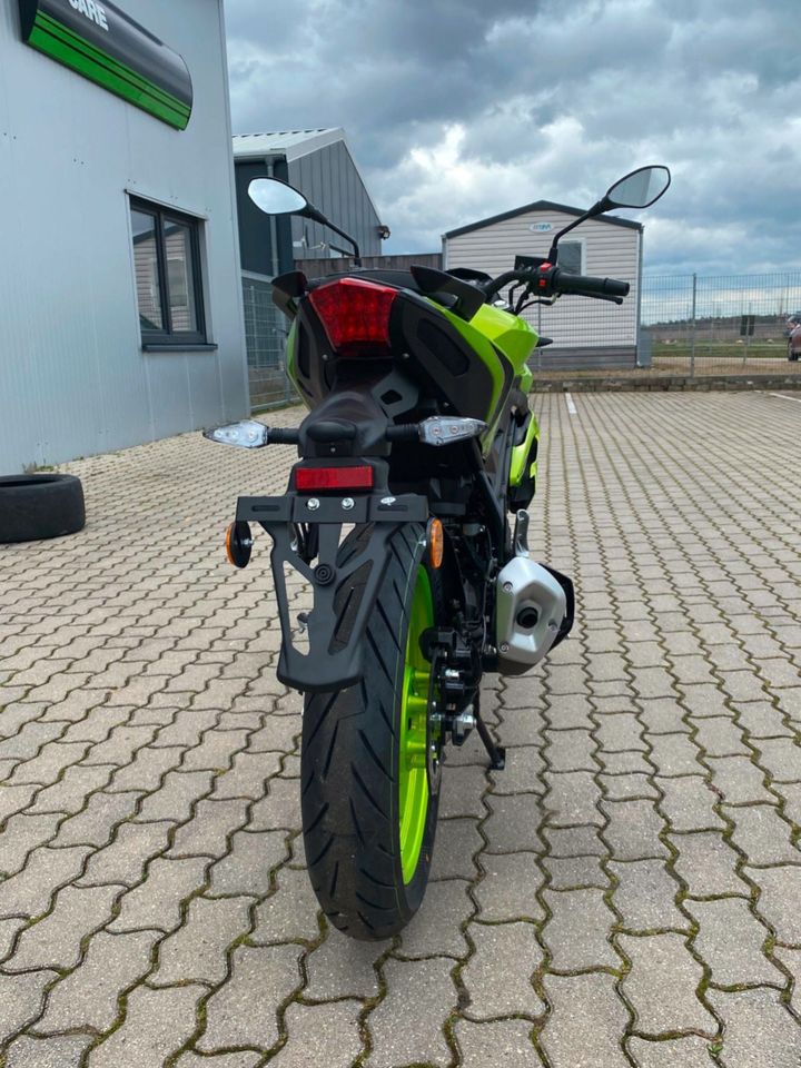 Benelli BN125 | NEW GENERATION | B196 | 125er | NEU in Walsrode