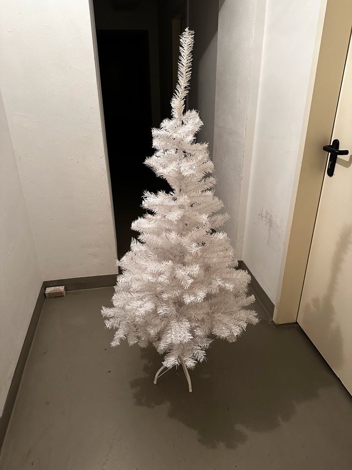 Weißer Tannenbaum 150 cm in Köln