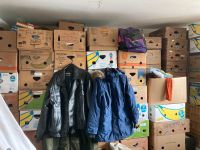 Über 100 Kisten mit Kleidung Rheinland-Pfalz - Ingelheim am Rhein Vorschau