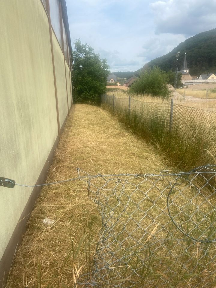 Biete Rasenmäharbeiten in Rivenich