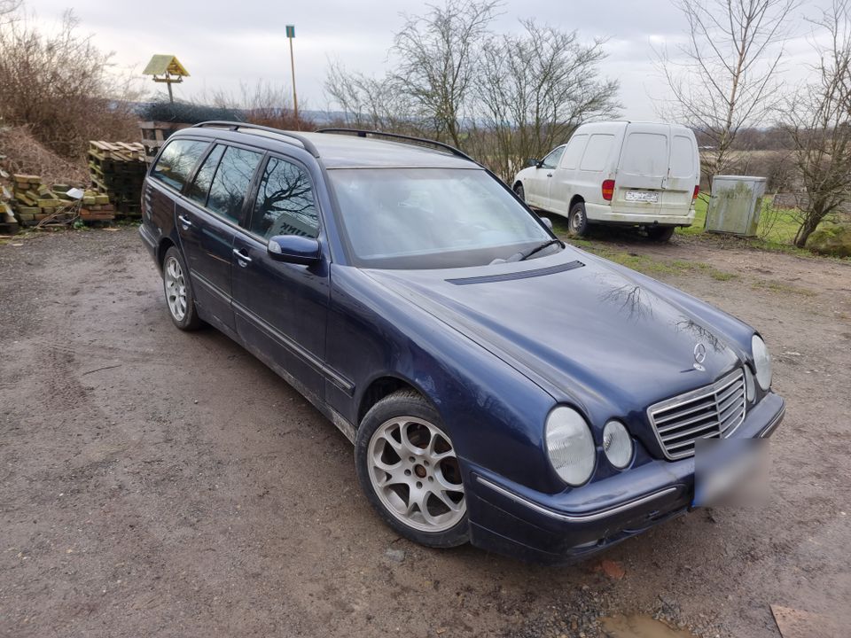 Mercedes Benz E240 Benzin+Gas in Bad Oeynhausen