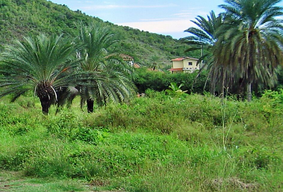 Grundstück mit Meer- und Bergblick in Wasserburg