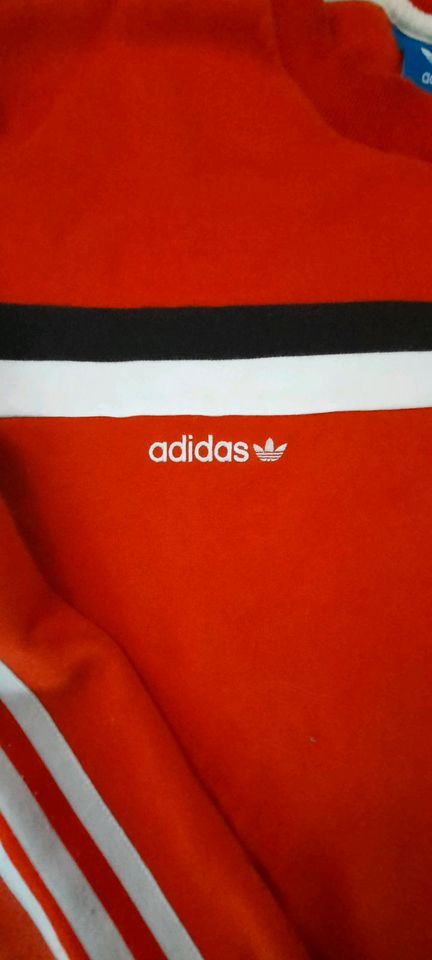 Pullover von Adidas, gr XL, neuwertig in Wildeshausen