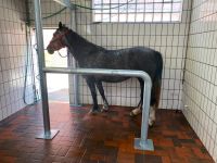 Wasch Stand für Pferde NEU Nordrhein-Westfalen - Dorsten Vorschau
