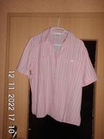 1 Bluse in rosa mit grün / roten Streifen mit kurzem Arm Sachsen - Hoyerswerda Vorschau