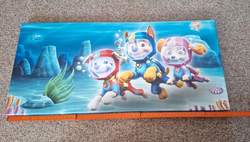 PawPatrol Unterwasser Bild 70 x 33 cm in Lutherstadt Wittenberg