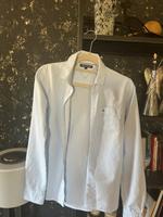 Hilfiger ❤️Bluse Hemd S❤️kostenloser Versand Sachsen - Kamenz Vorschau