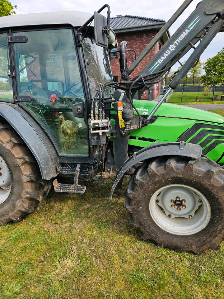 Traktor agroplus 70 in Saerbeck