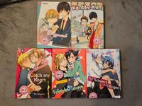 5 Shades of Pink; 1-5 Boys Love; Manga; komplett Nordrhein-Westfalen - Viersen Vorschau
