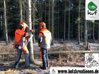 Motorsägenlehrgang Modul A, kwf-zertifiziert Thüringen - Neustadt an der Orla Vorschau