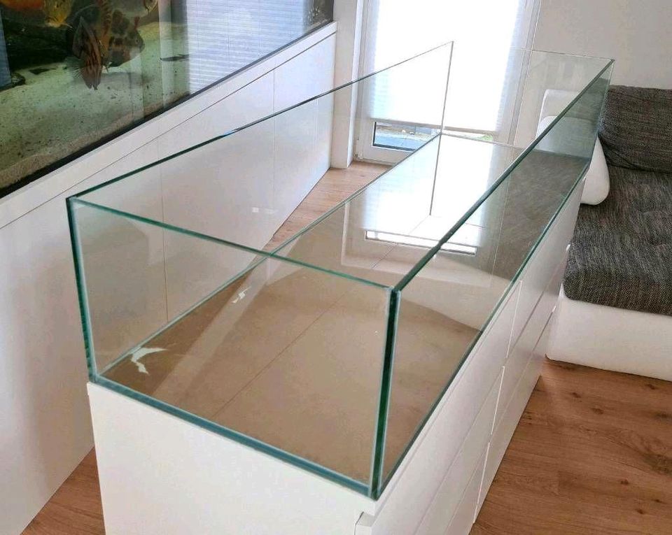 160x48x30 Aquarium 230l für IKEA Malm L-Wels Axolotl Meerwasser in Bad Nenndorf