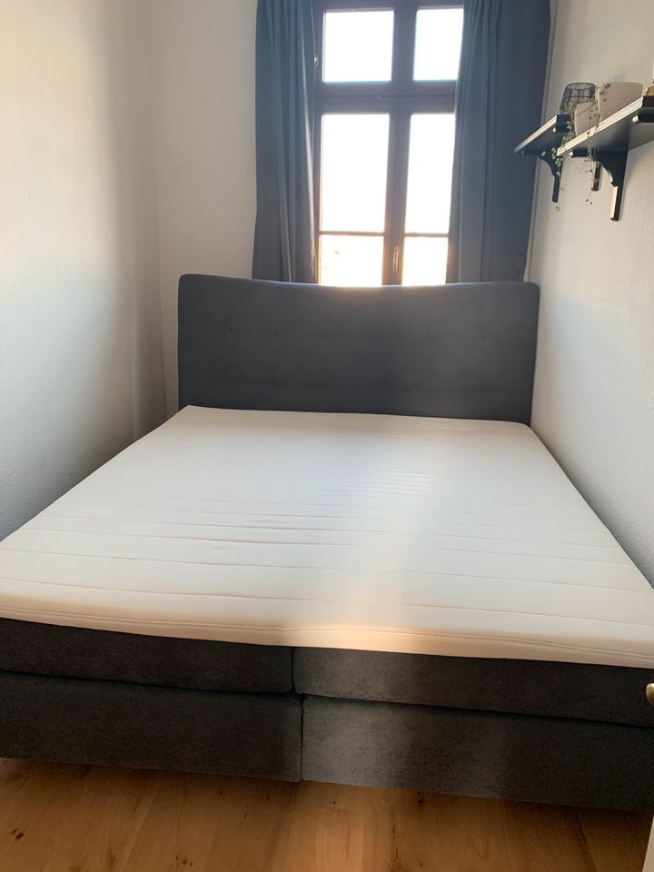 Boxspringbett Maum I 1.80x2m in Leipzig