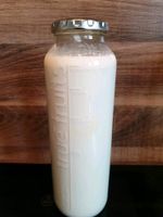 Milchkefir, Milchkefir Knollen, Tibeter, Kaukase Hessen - Kelkheim Vorschau