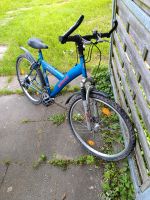 Fahrrad 26 Zoll Bielefeld - Stieghorst Vorschau