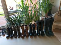 6 Paare Damen Lederstiefel Größe 38, 39 und 40 Gabor, Medicus ... Niedersachsen - Salzgitter Vorschau