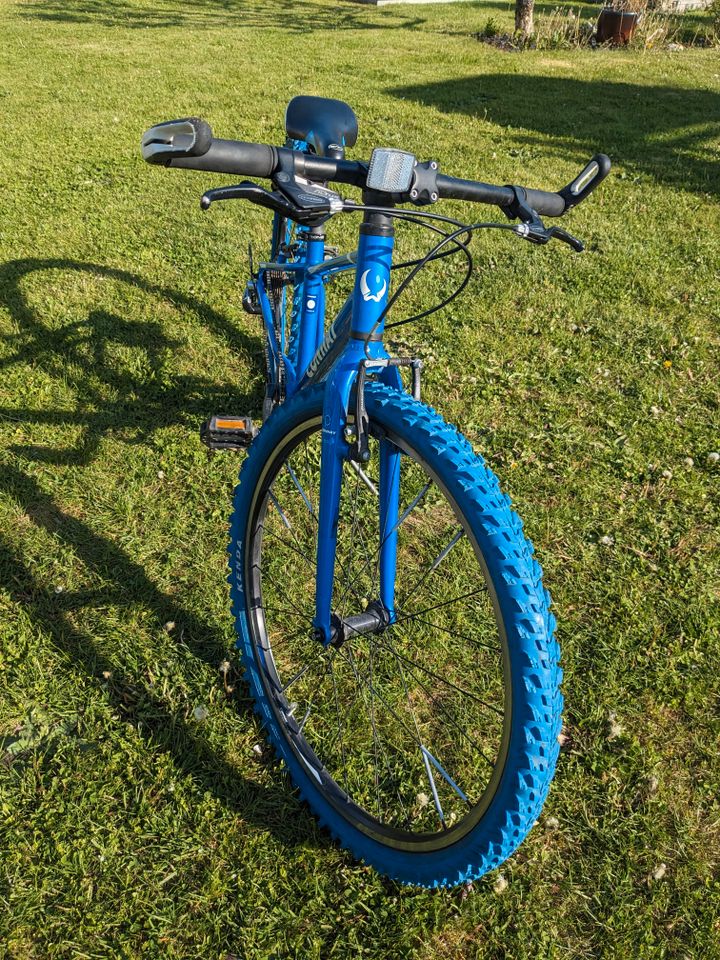 Conway MS 300 - Leichtes Mountainbike für Kinder (2017) in Adelsried