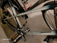 Fahrrad koga miyata 28 Zoll Obervieland - Kattenturm Vorschau