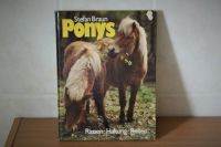 Buch Ponys Nordrhein-Westfalen - Windeck Vorschau