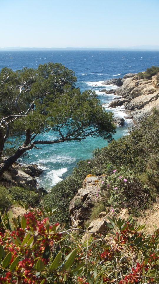 Haus, Bungalow, Spanien, Costa Brava, Roses, Ferienhaus Nähe Meer in Bergisch Gladbach