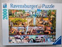 Puzzle Puzzel Tiere 2000 Teile Ravensburger Tierpuzzle Hamburg Barmbek - Hamburg Barmbek-Süd  Vorschau