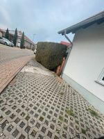 Rasengittersteine zu verschenken ca. 120 stck Rheinland-Pfalz - Flomborn Vorschau