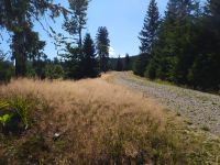 Wandern im östlichen Niederbayern Bayern - Tittling Vorschau