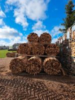 Brennholz, Kiefernbrennholz zu verkaufen! Rheinland-Pfalz - Wawern Vorschau