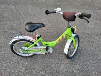Puky Fahrrad Kinderfahrrad  16Zoll gut erhalten mit Licht Nordrhein-Westfalen - Salzkotten Vorschau