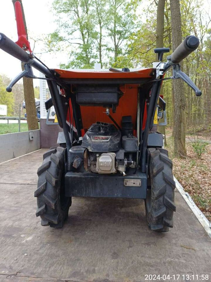 Microdumper Lescha BMD 300 in Leverkusen