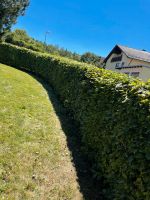 Gartenarbeit , Bäume fällen , Handwerk Bayern - Regensburg Vorschau