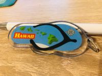 6 Hawaii Souvenirs aus Big Island und Honolulu Rheinland-Pfalz - Bodenheim Vorschau