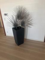 Lechuza  Flanze Vase Baden-Württemberg - Ingersheim Vorschau
