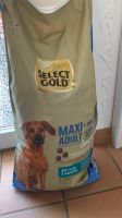 Select Gold Hundefutter Adult 2 Säcke unbenutzt Hessen - Hünfelden Vorschau