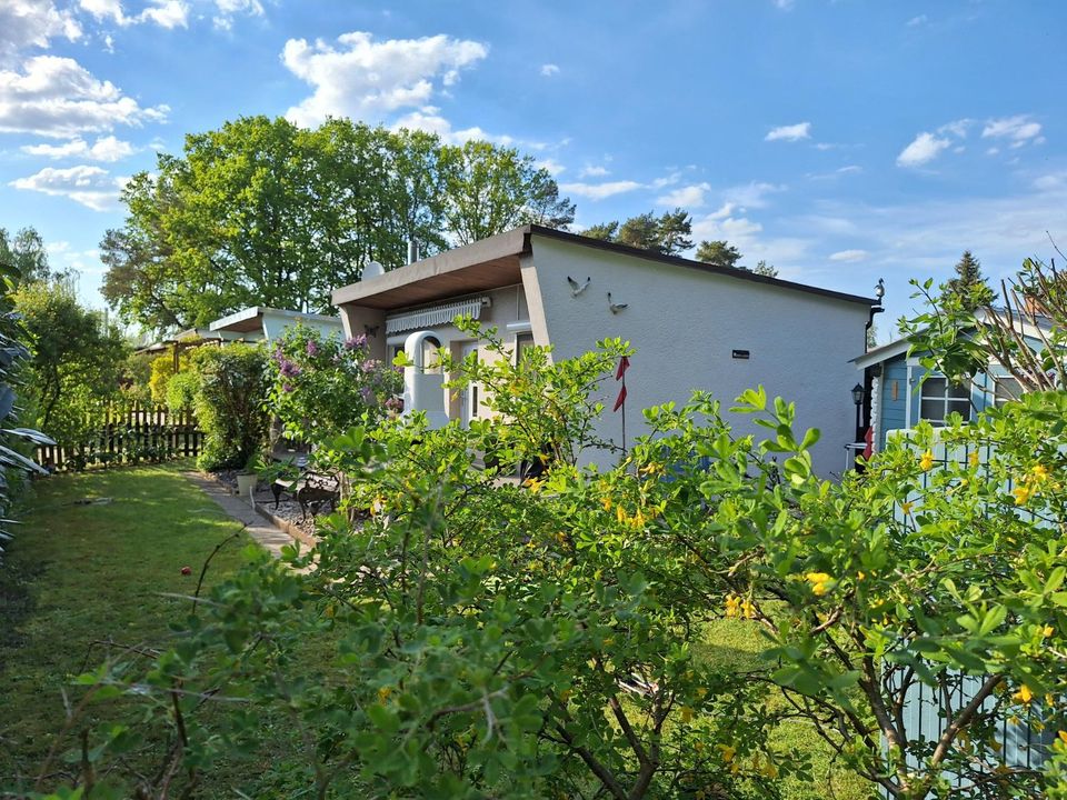 Ferienhaus mit Hund am Stettiner Haff in Ueckermuende