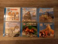 CDs "Was ist Was" Dino, Hunde, Weltwunder, Religion uvm.,neuwert Thüringen - Erfurt Vorschau