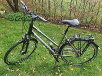 Damenfahrrad Rad Giant kein E-Bike Gazelle Fahrrad Niedersachsen - Laar (Vechte) Vorschau