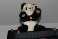 Steiff Molly Panda - KFS - 32 cm Niedersachsen - Westoverledingen Vorschau