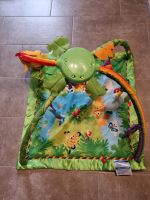 Fisher Price Spielbogen Rainforest Baden-Württemberg - Bad Waldsee Vorschau