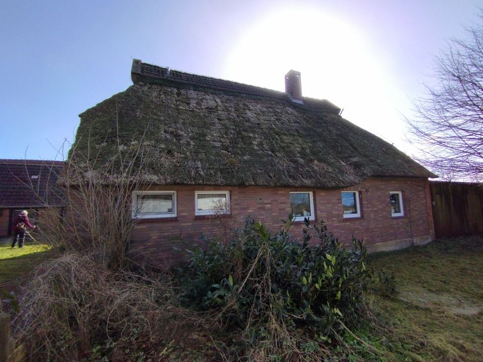 Wiemsdorf an der Weser, ruhig gelegenes EFH auf ca. 2000 qm Land in Loxstedt