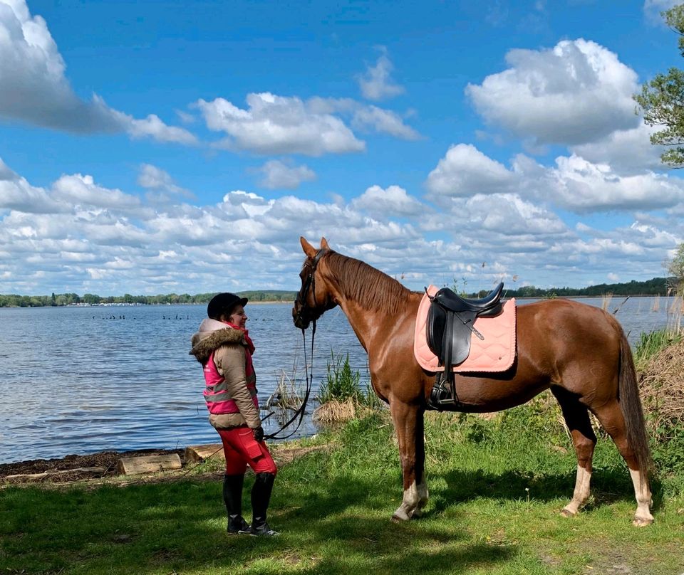 Reittherapie in Potsdam in Potsdam