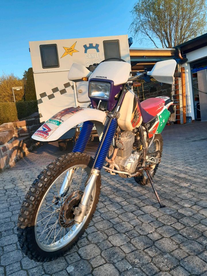 Honda XR 400 in Wildberg