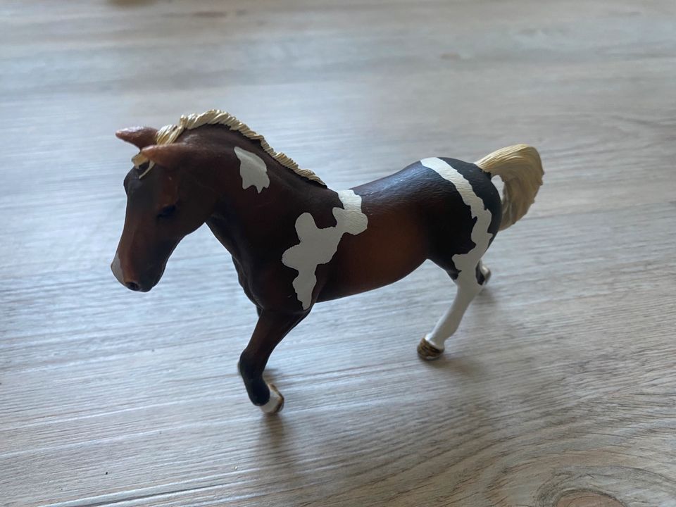Schleich Pferde Spielfiguren Mädchen Sammler in Pinneberg