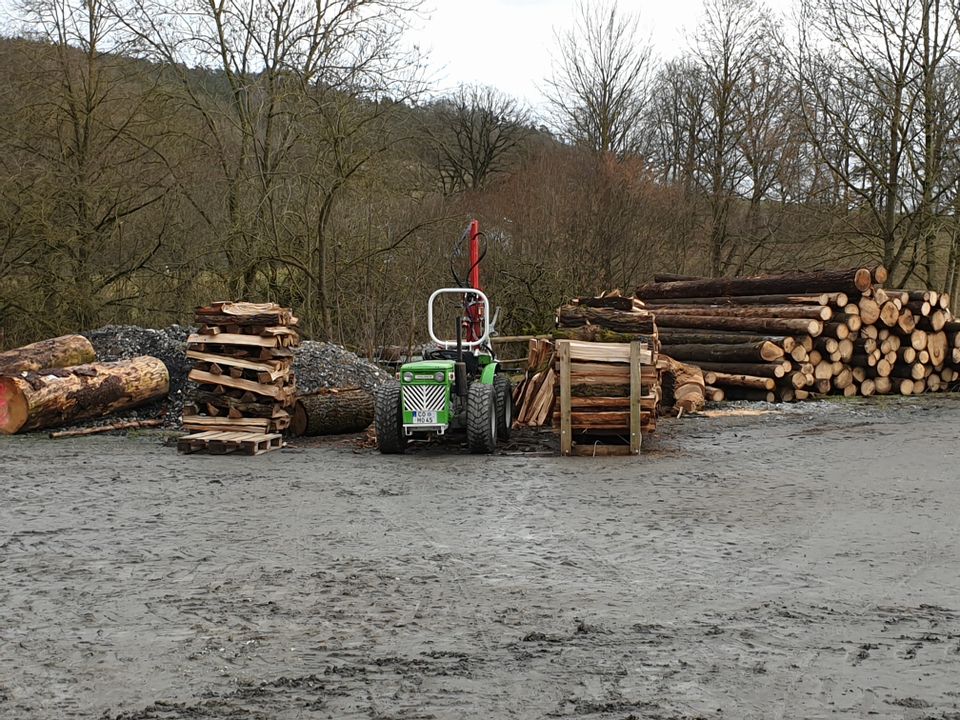 Regionales Nachhaltiges Brennholz Kaminholz Feuerholz in Neustadt b.Coburg