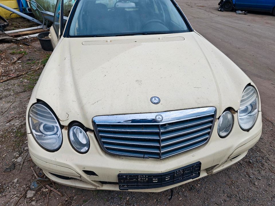 Mercedes  E Klasse w211 in Oschersleben (Bode)