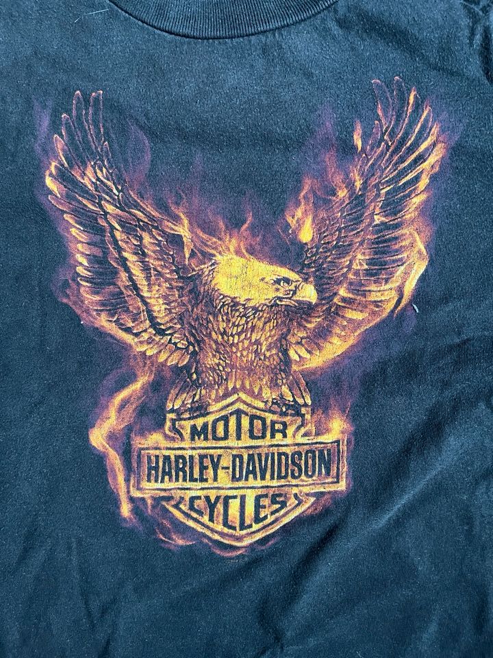 Harley Davidson T Shirt in Wedel