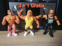(3+1 SET) Wrestling WWF 1990-1991 Hasbro TITANSPORTS INC Sachsen - Oschatz Vorschau